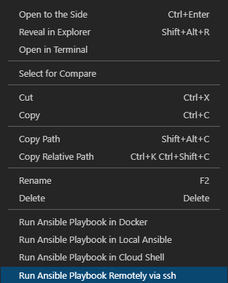 Execute Playbook via SSH on Ansible Server
